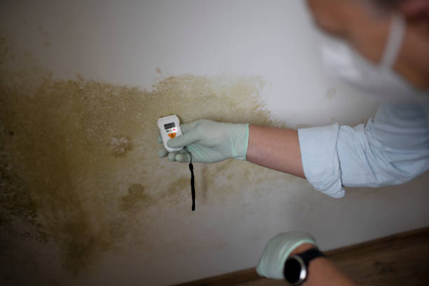 Best Mold Testing  in Statesville, NC