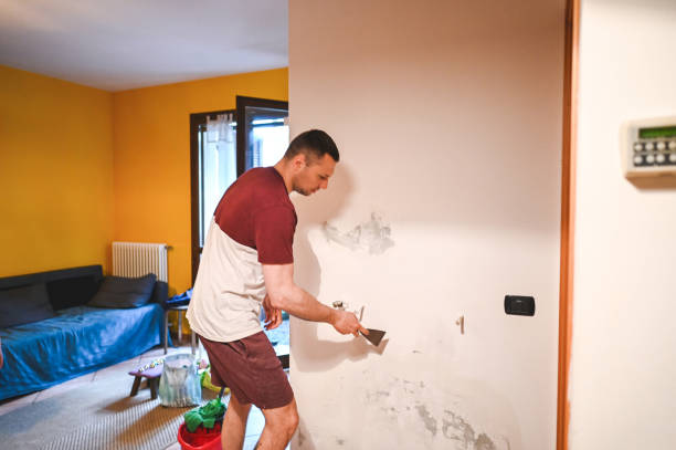 Best Local Mold Removal Service  in Statesville, NC